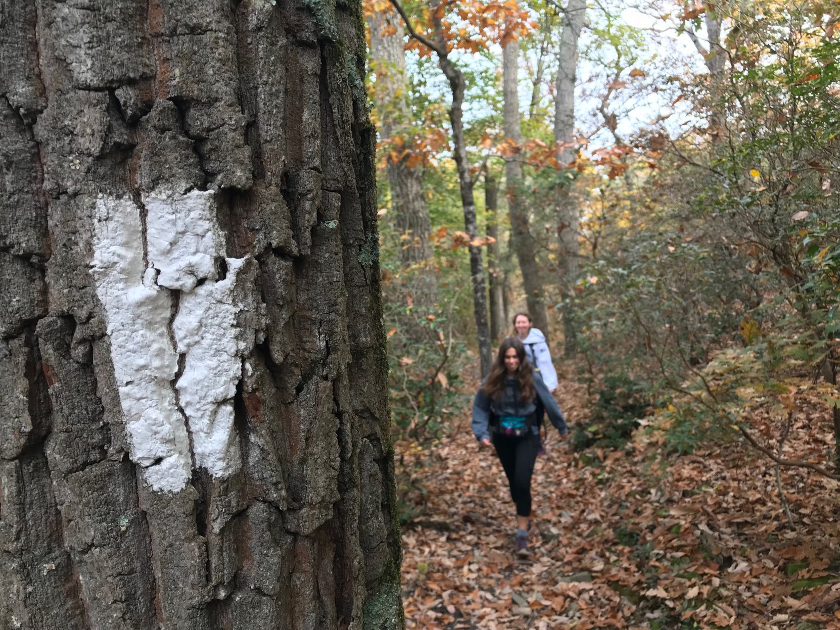 Appalachian Trail hikers with blaze